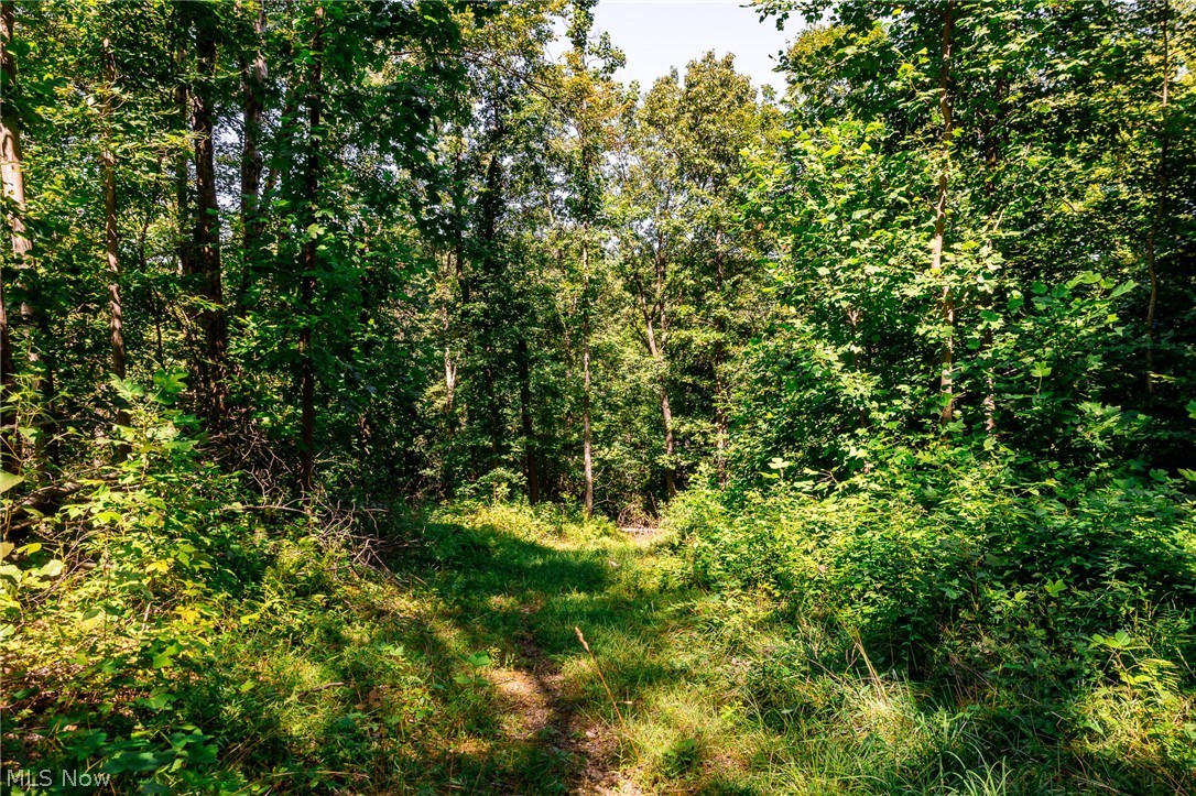 Kings Ridge Road Newcomerstown OH 43832