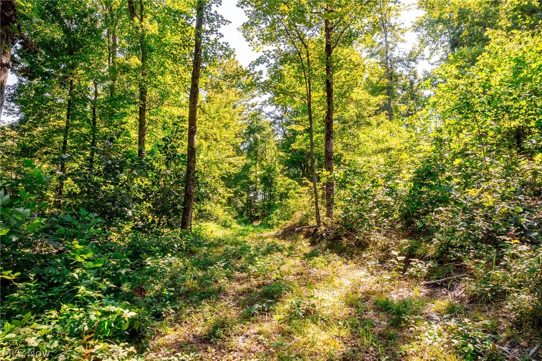 Kings Ridge Road Newcomerstown OH 43832