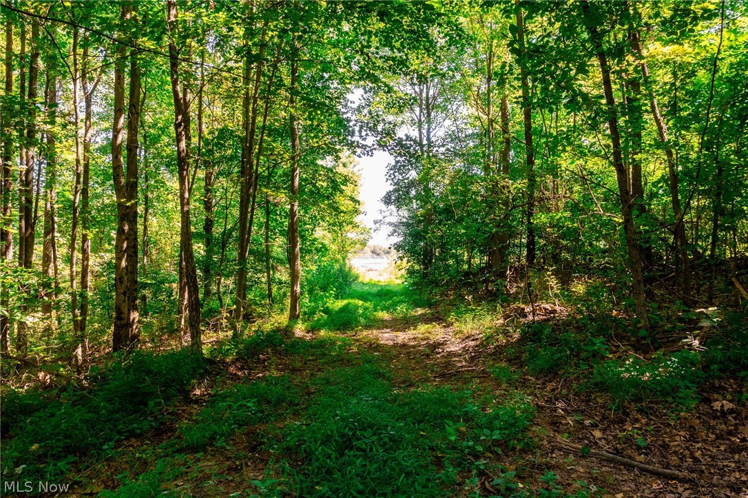 Kings Ridge Road Newcomerstown OH 43832
