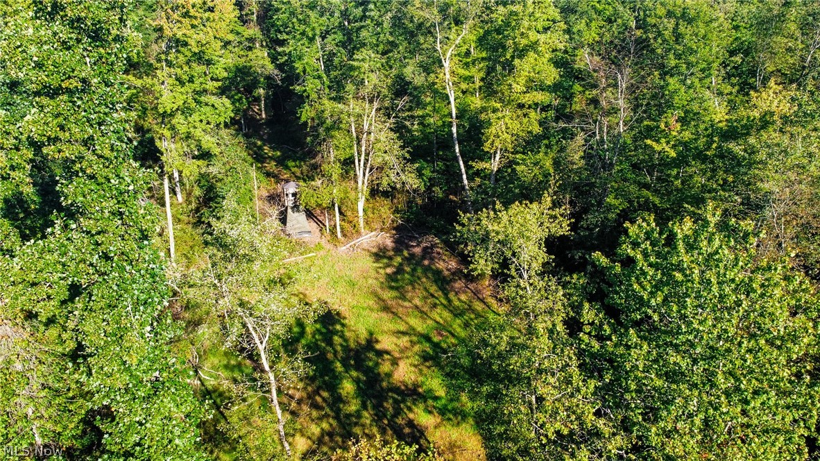 Kings Ridge Road Newcomerstown OH 43832