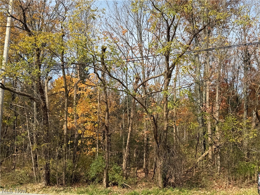 Butternut Road Burton OH 44021