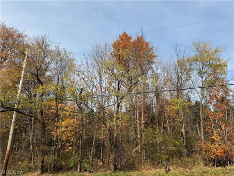 Butternut Road Burton OH 44021