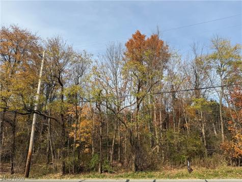 Butternut Road Burton OH 44021