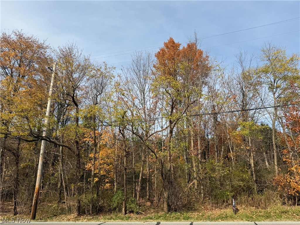 Butternut Road Burton OH 44021