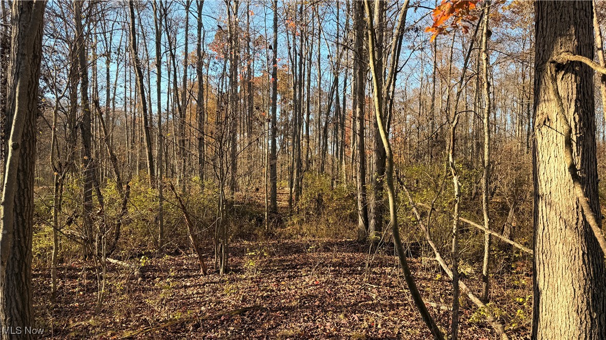 State Route 307 Jefferson OH 44047