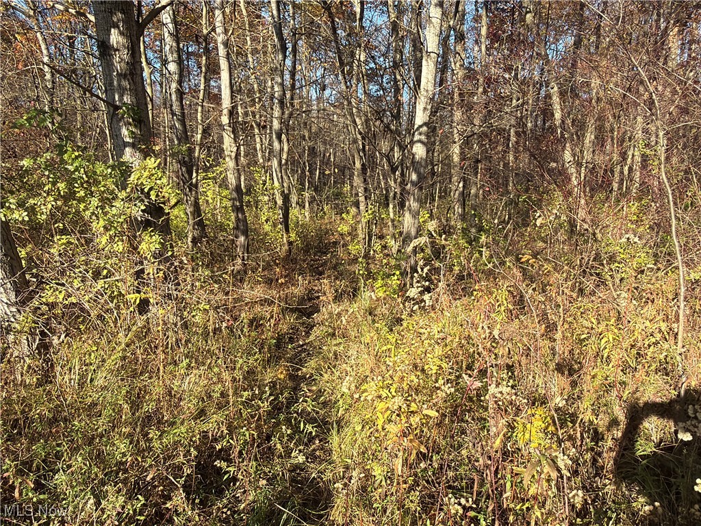 State Route 307 Jefferson OH 44047