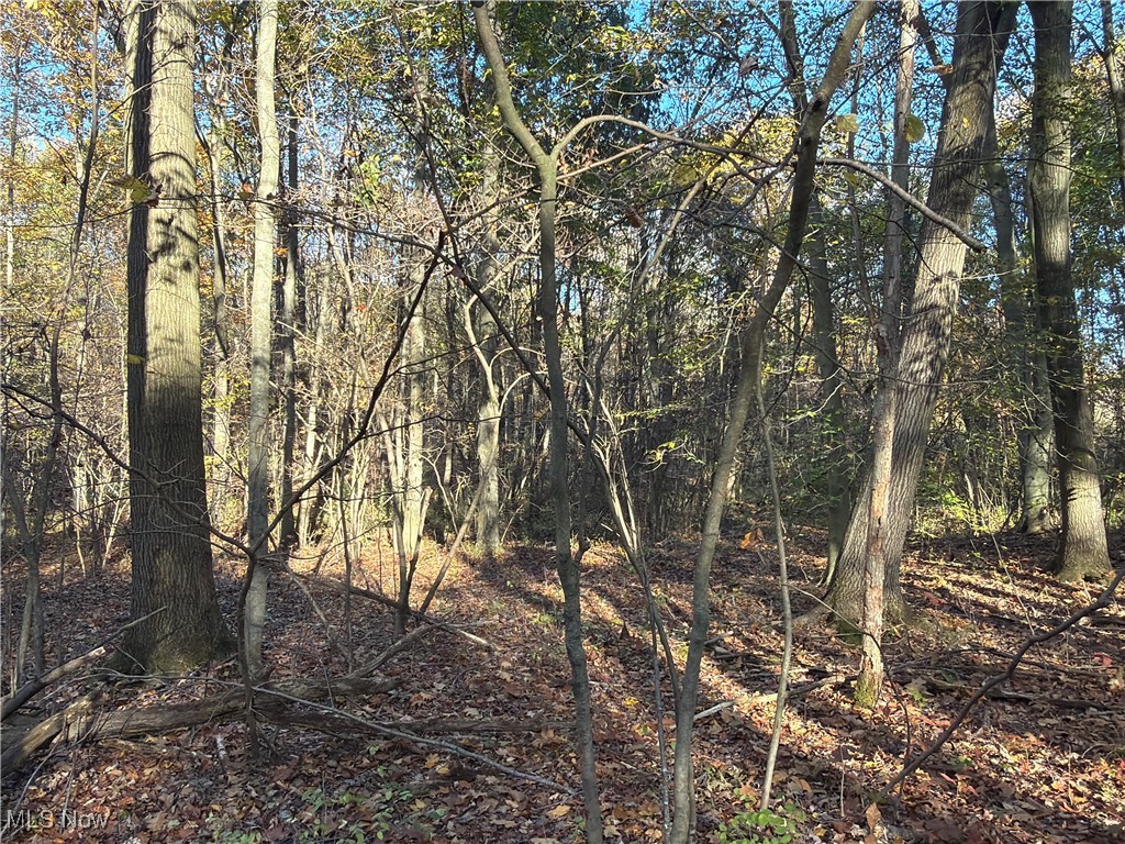 State Route 307 Jefferson OH 44047