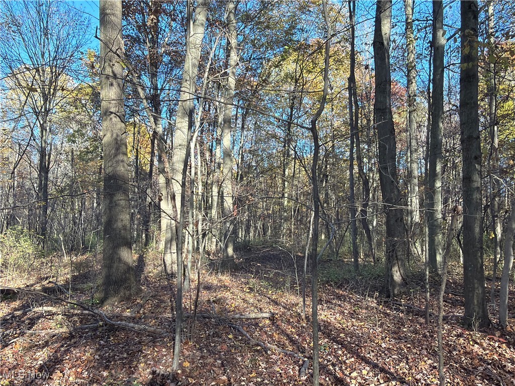 State Route 307 Jefferson OH 44047