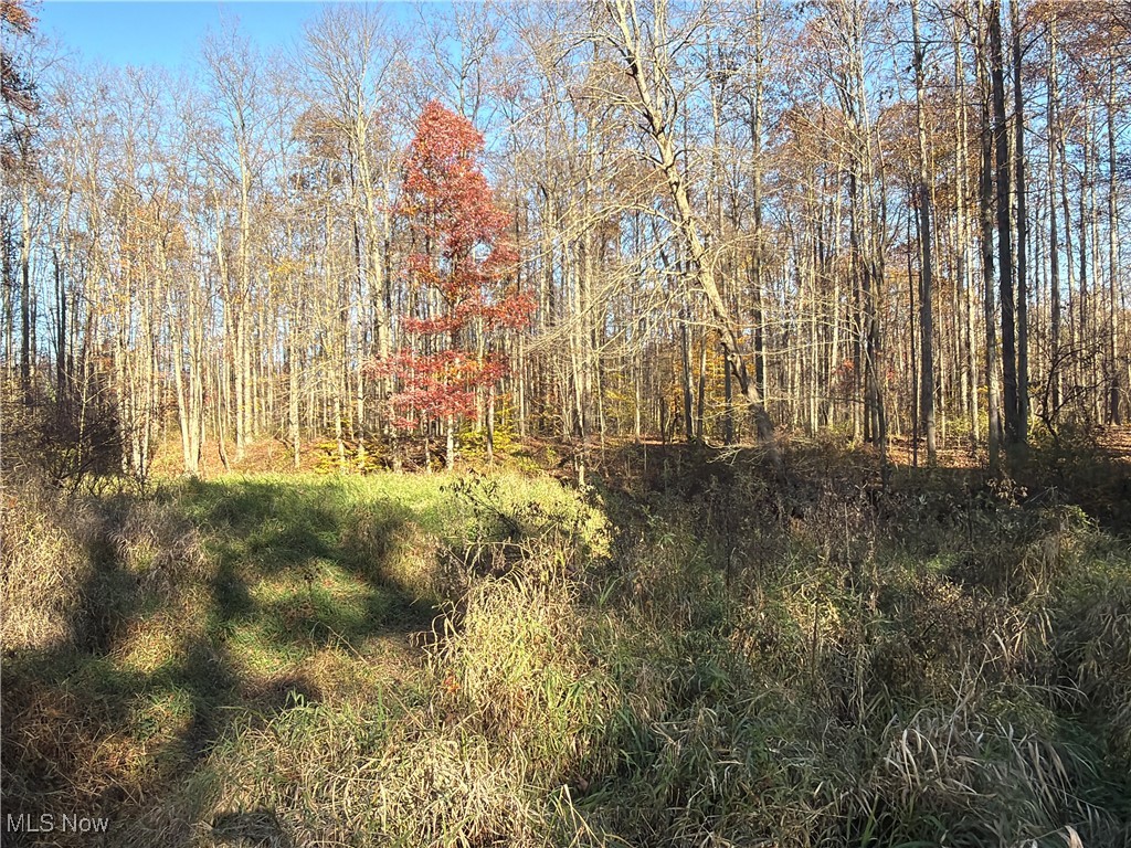 State Route 307 Jefferson OH 44047