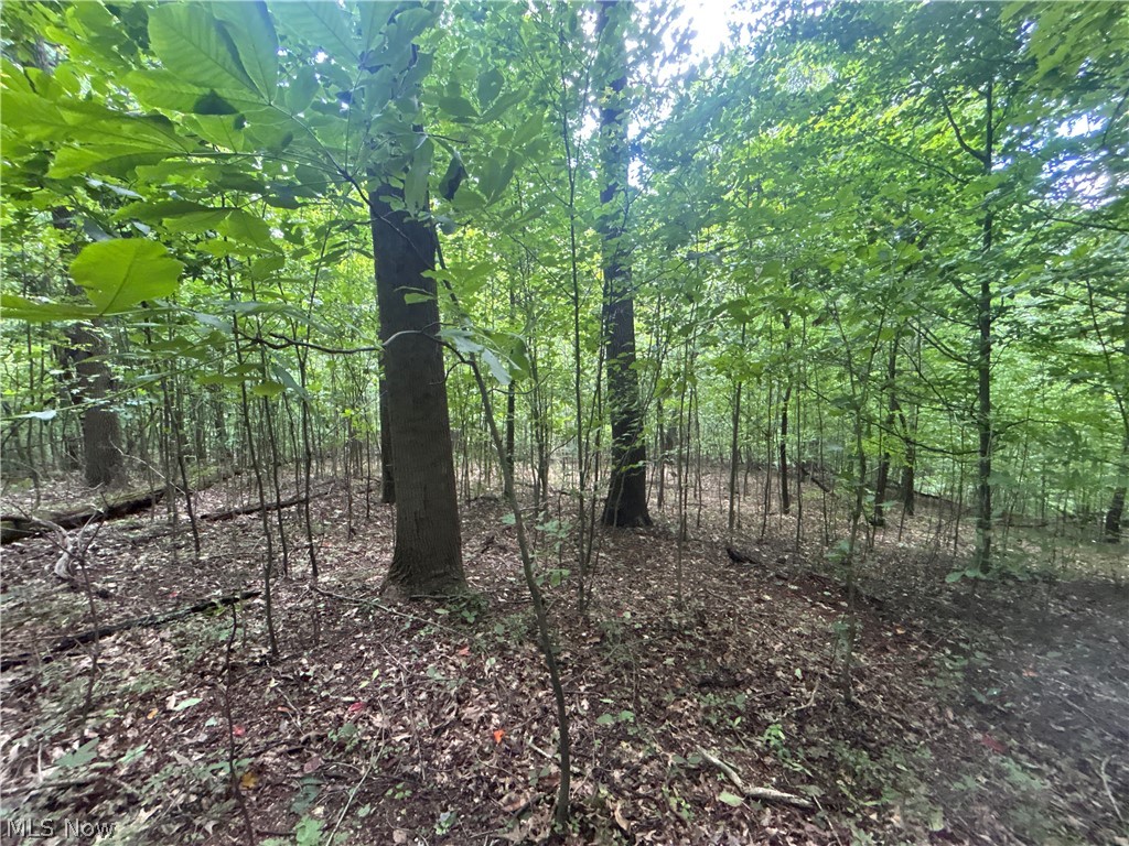 44713 State Route 541 Coshocton OH 43812