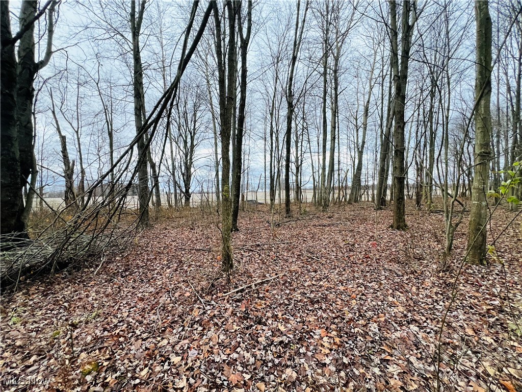 00 Kinsman Knickerson Road Kinsman OH 44428