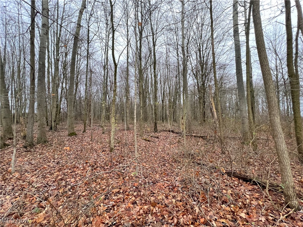00 Kinsman Knickerson Road Kinsman OH 44428