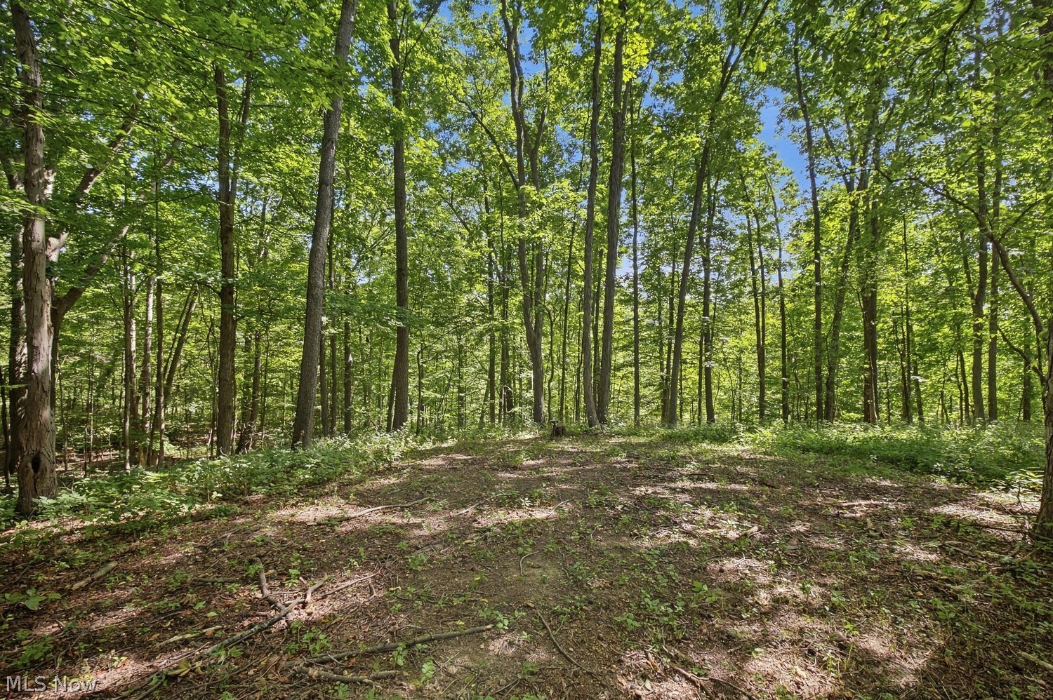 1837 Township Road 1215 Ashland OH 44805