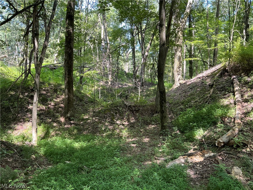 5326 Yackey Drive NW Strasburg OH 44680