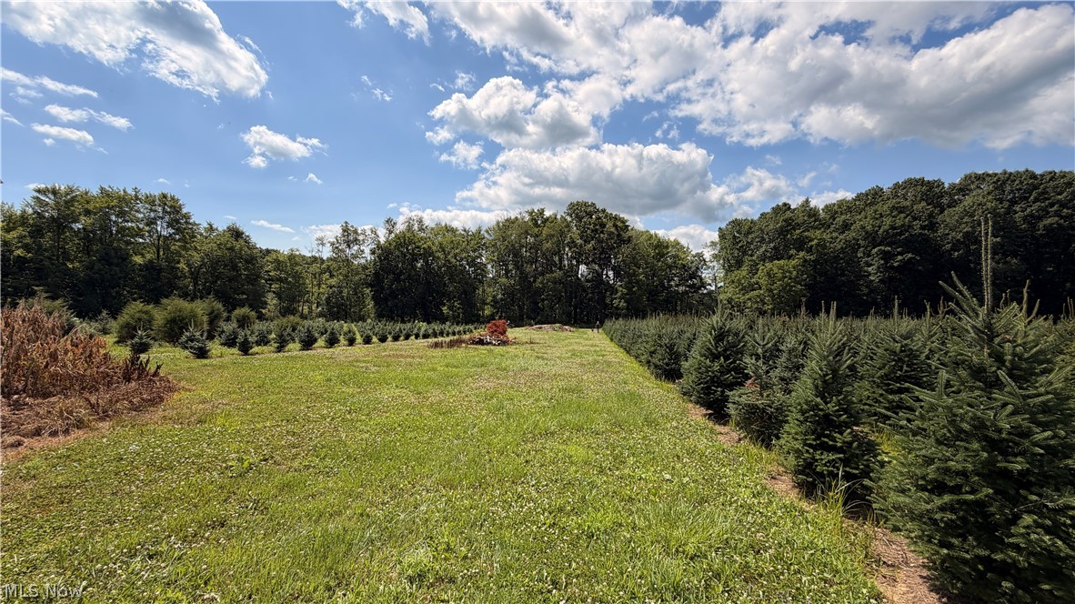 5620 Streeter Road Mantua OH 44255