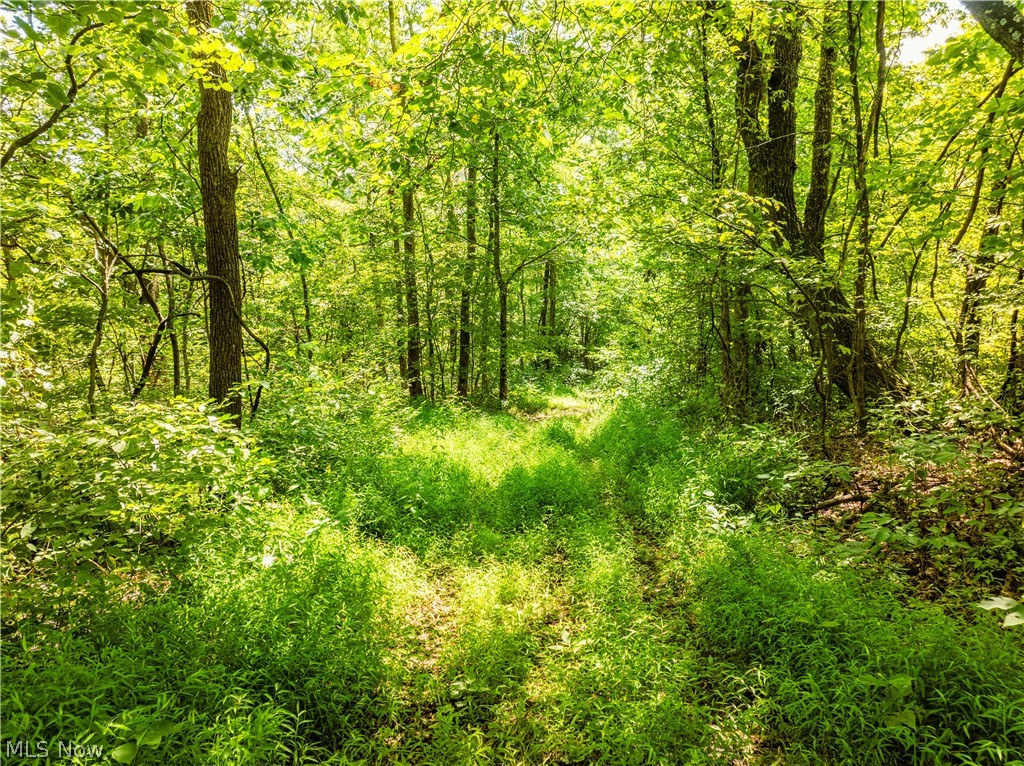 Taylor Road Dennison OH 44621