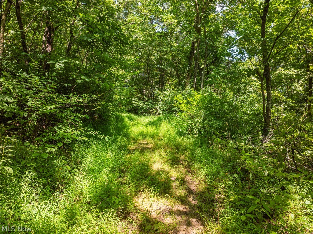 Taylor Road Dennison OH 44621