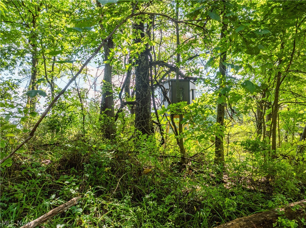 Taylor Road Dennison OH 44621