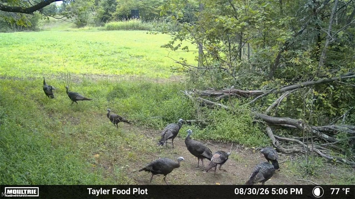 Taylor Road Dennison OH 44621