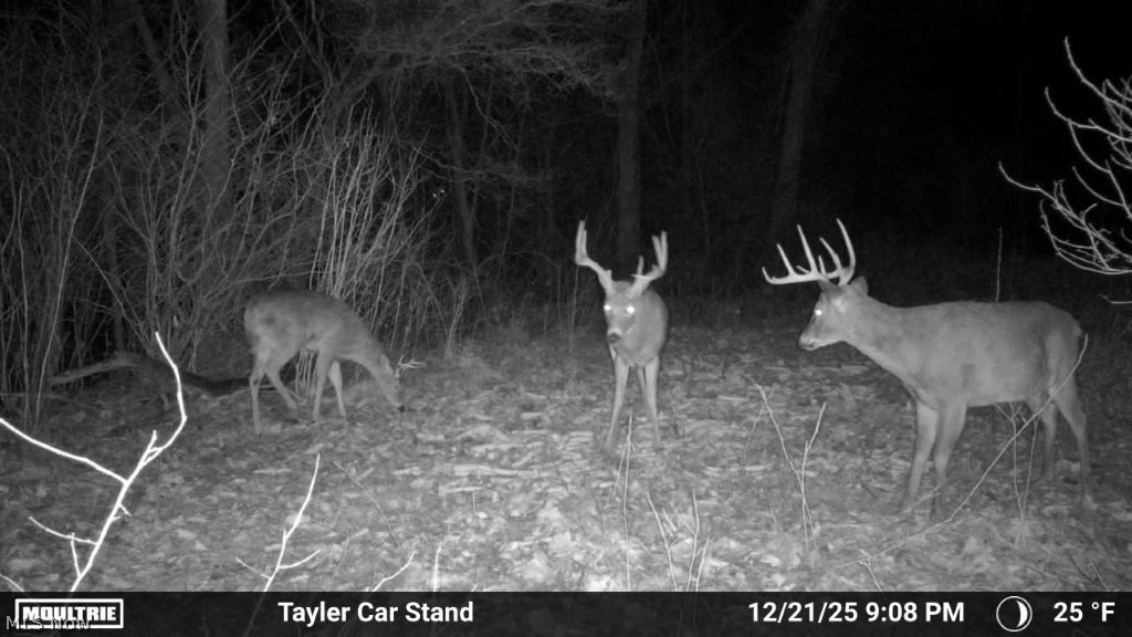 Taylor Road Dennison OH 44621