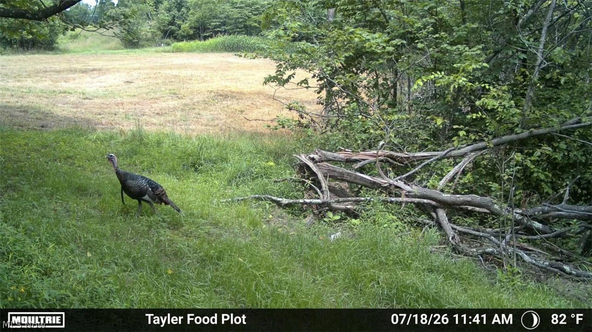 Taylor Road Dennison OH 44621