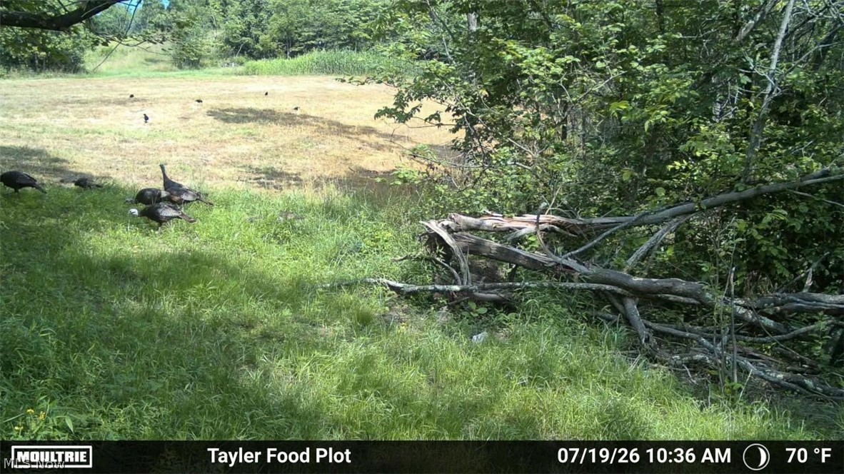 Taylor Road Dennison OH 44621