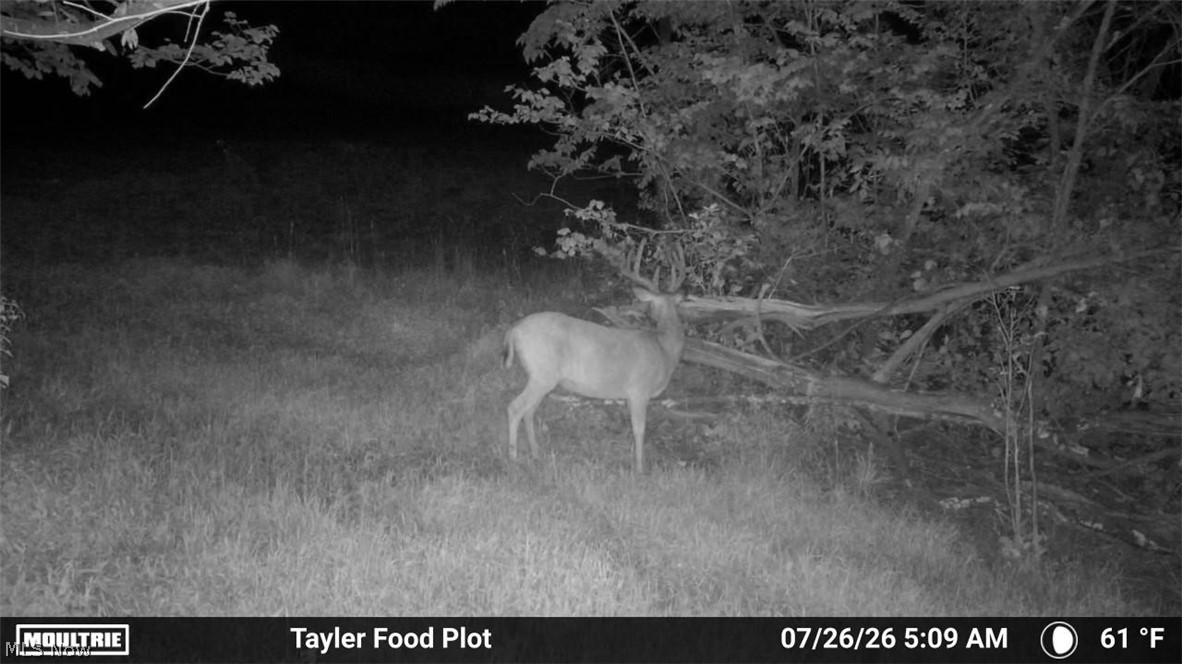 Taylor Road Dennison OH 44621