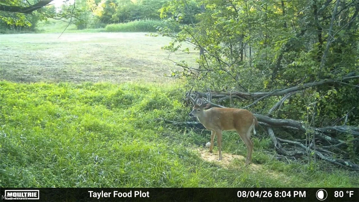 Taylor Road Dennison OH 44621