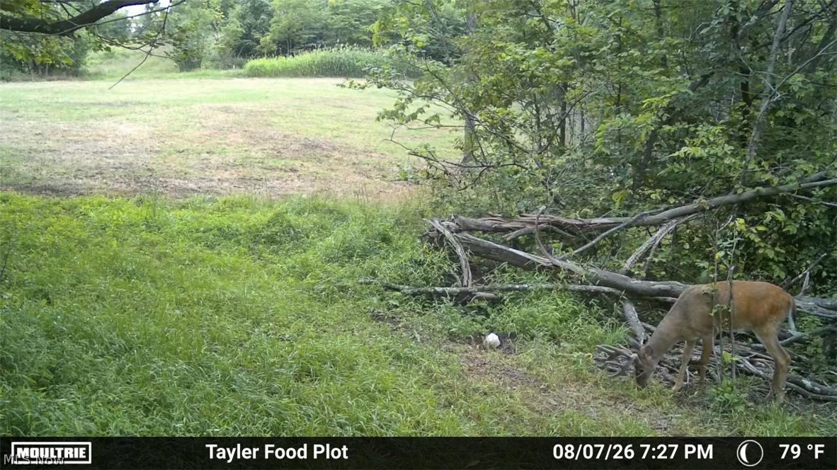Taylor Road Dennison OH 44621