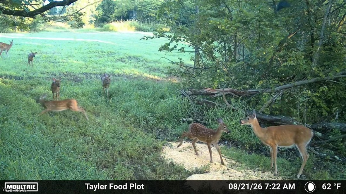 Taylor Road Dennison OH 44621