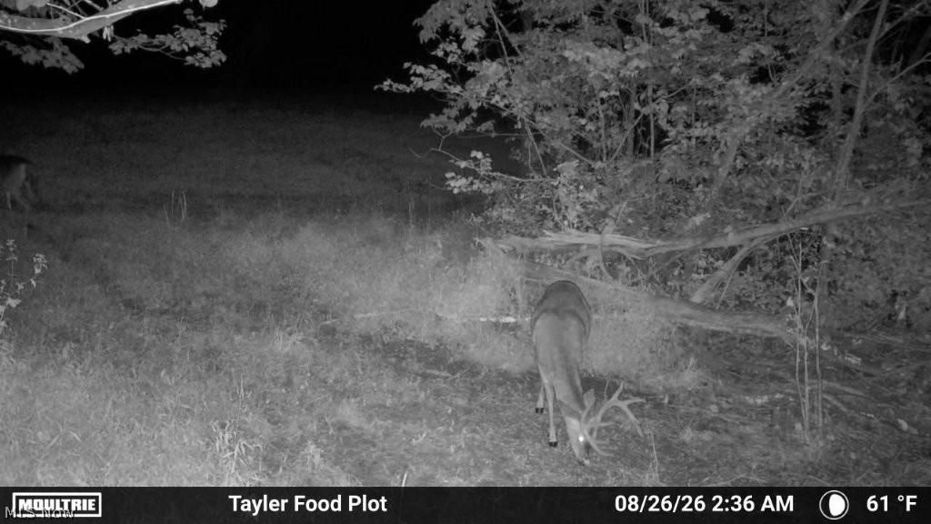 Taylor Road Dennison OH 44621