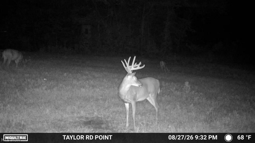 Taylor Road Dennison OH 44621