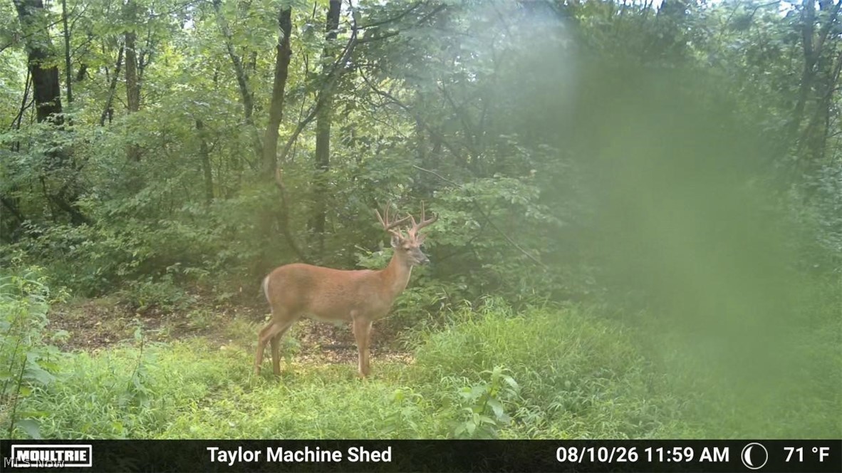 Taylor Road Dennison OH 44621