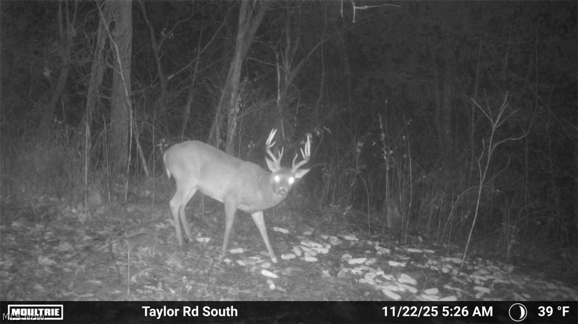 Taylor Road Dennison OH 44621