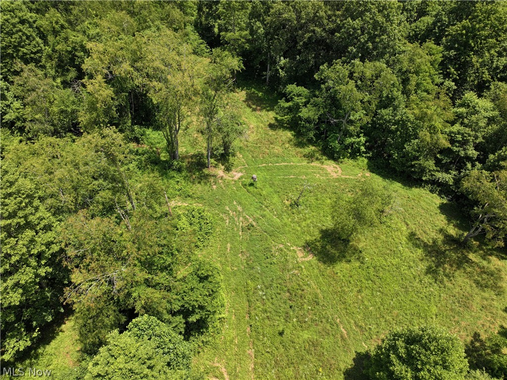 0 Tract Abcd Early Ridge Road Mcconnelsville OH 45786