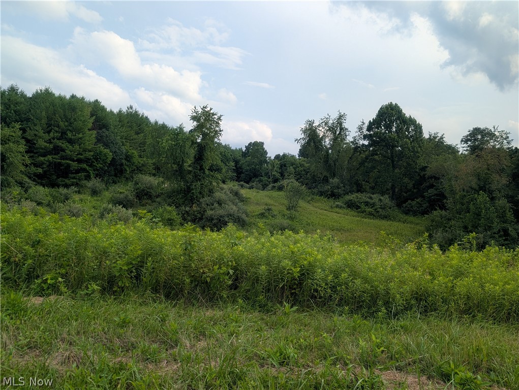 0 Tract Abcd Early Ridge Road Mcconnelsville OH 45786