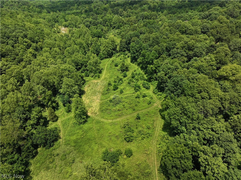 0 Tract Abcd Early Ridge Road Mcconnelsville OH 45786