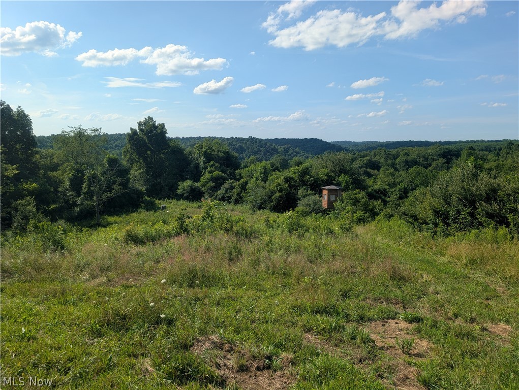 0 Tract Abcd Early Ridge Road Mcconnelsville OH 45786