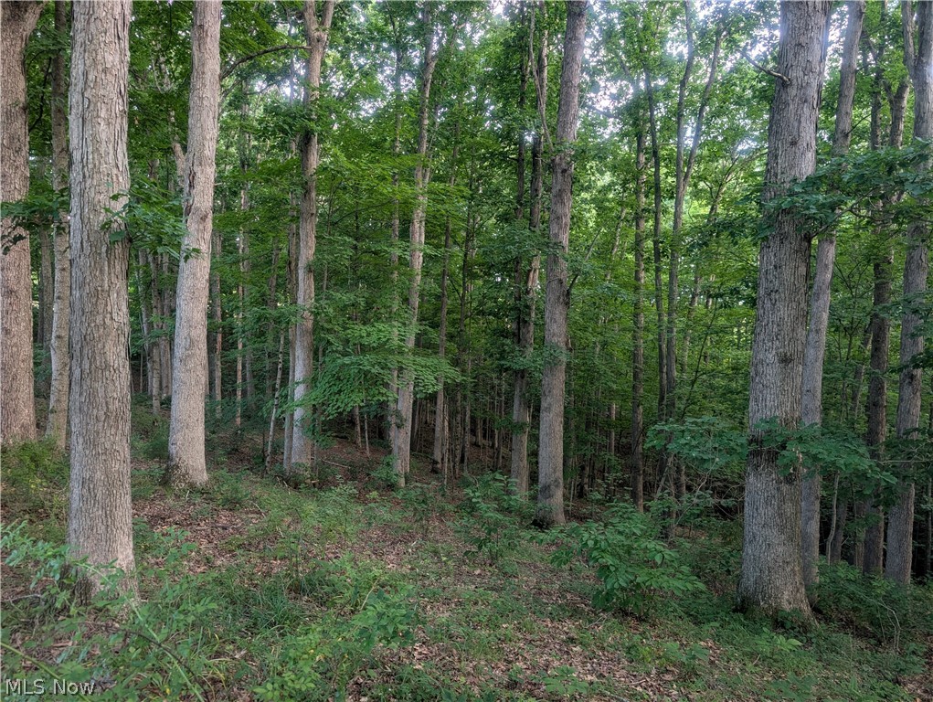0 Tract Abcd Early Ridge Road Mcconnelsville OH 45786