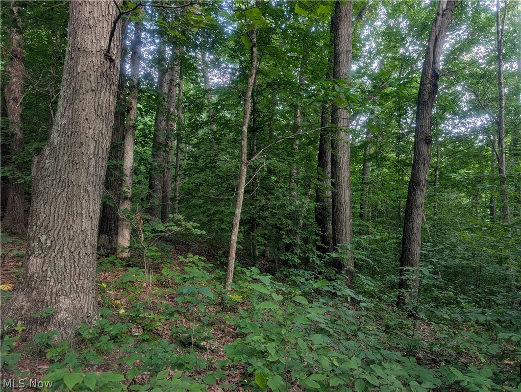 0 Tract Abcd Early Ridge Road Mcconnelsville OH 45786