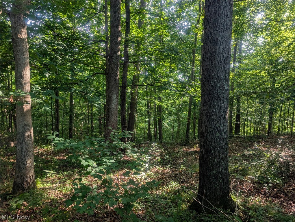 0 Tract Abcd Early Ridge Road Mcconnelsville OH 45786