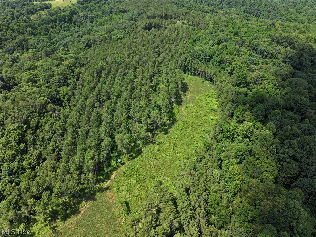 0 Tract Abcd Early Ridge Road Mcconnelsville OH 45786