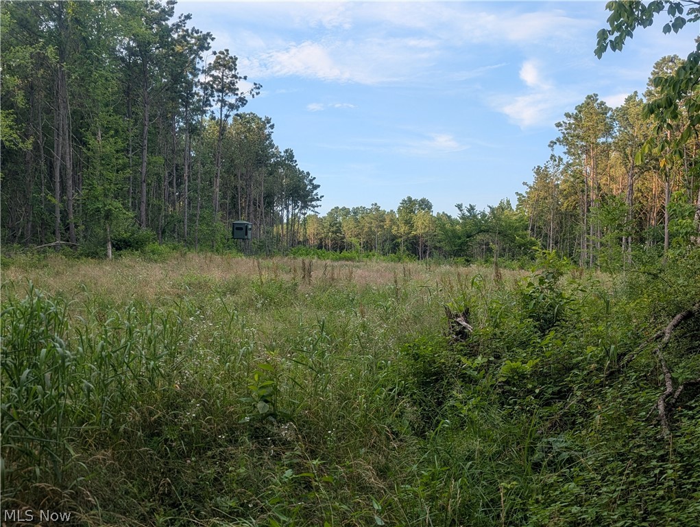0 Tract Abcd Early Ridge Road Mcconnelsville OH 45786
