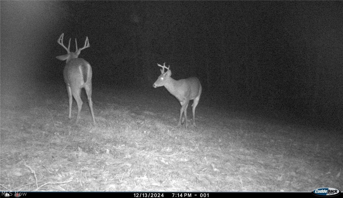 0 Tract Abcd Early Ridge Road Mcconnelsville OH 45786