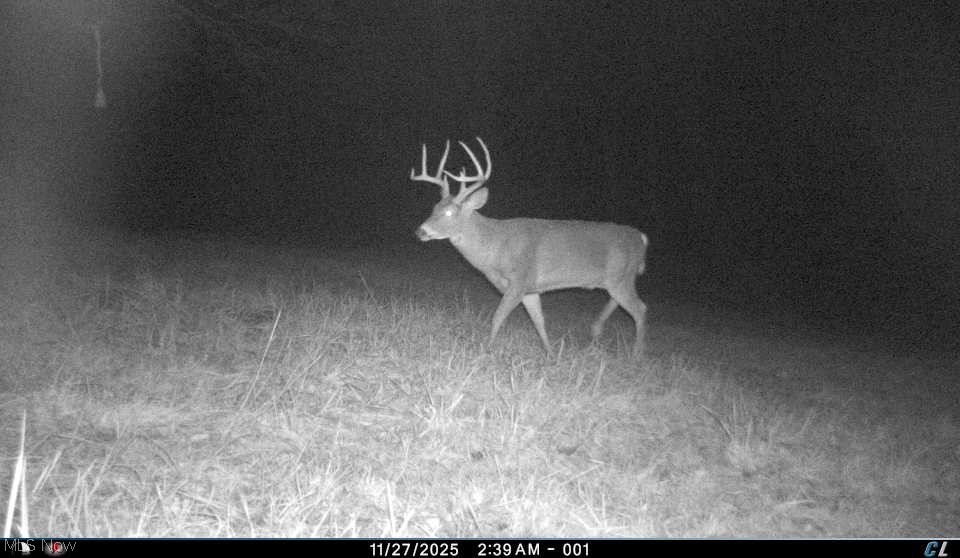 0 Tract Abcd Early Ridge Road Mcconnelsville OH 45786