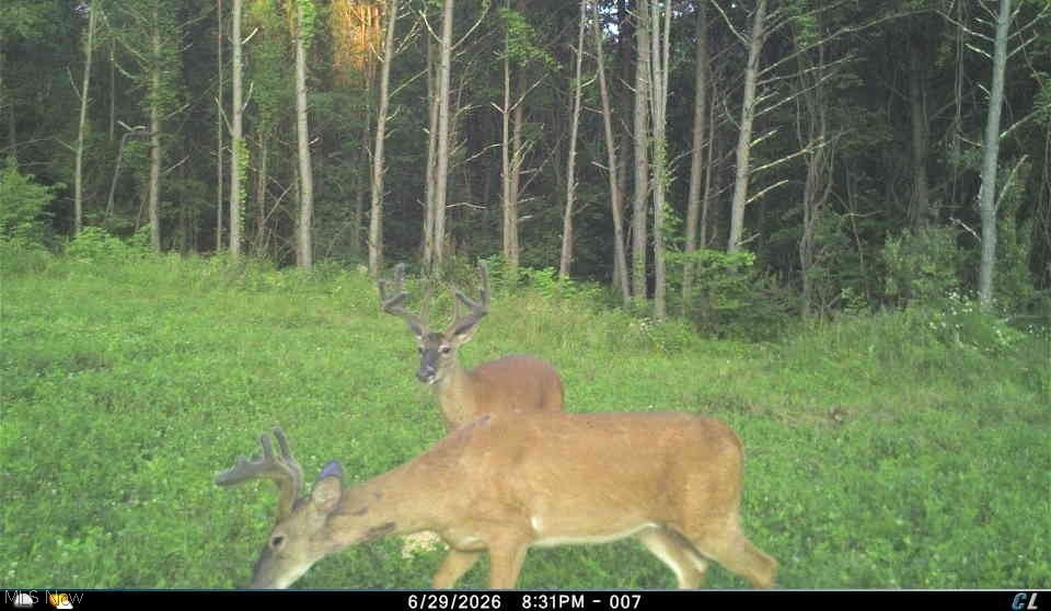 0 Tract Abcd Early Ridge Road Mcconnelsville OH 45786