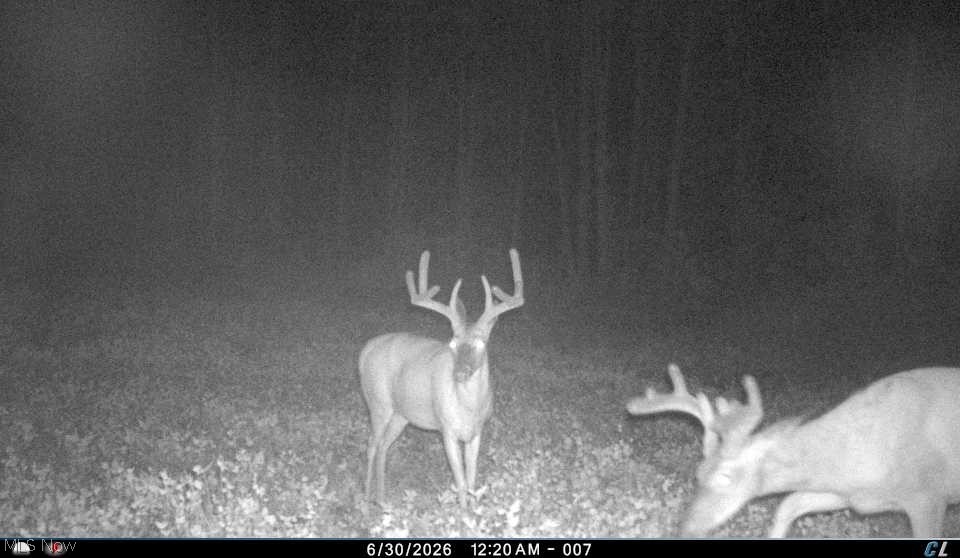 0 Tract Abcd Early Ridge Road Mcconnelsville OH 45786