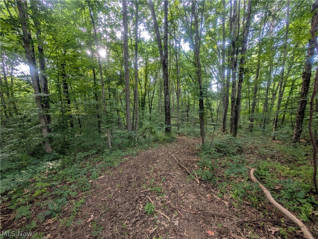 0 Tract Abcd Early Ridge Road Mcconnelsville OH 45786