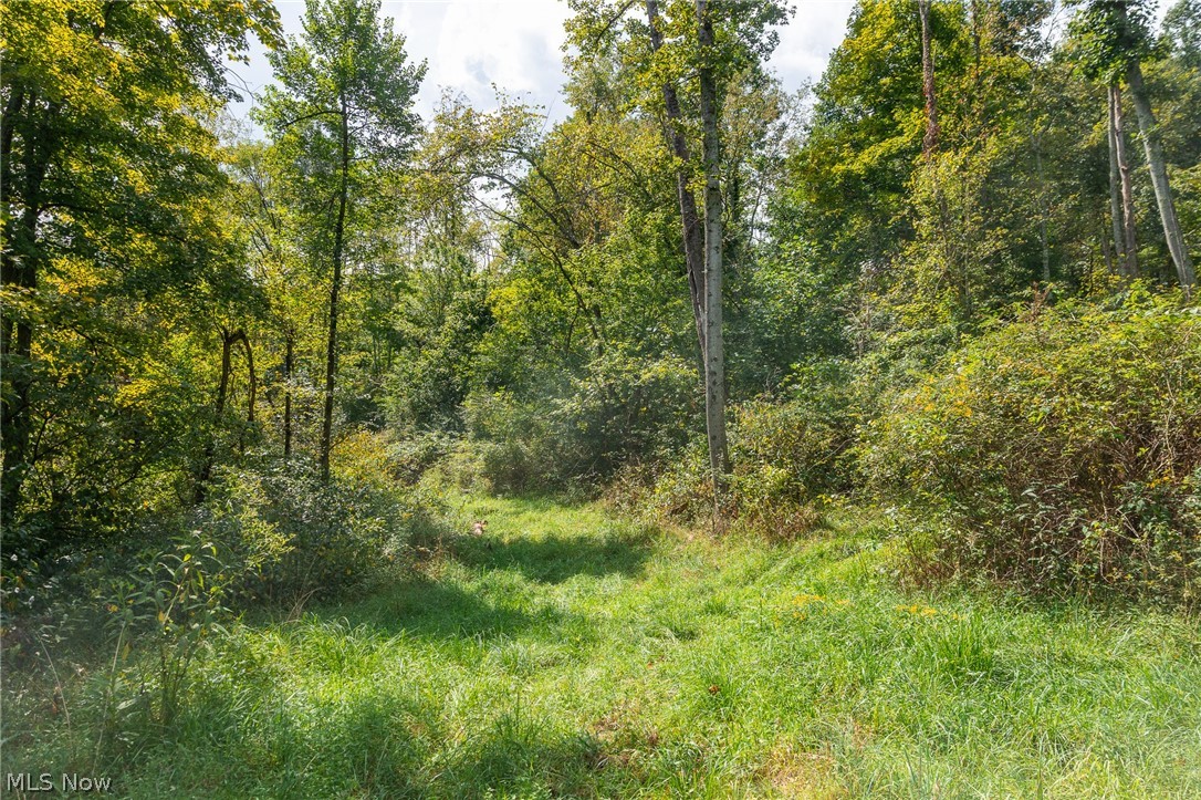 27339 Tabor Ridge Road Caldwell OH 43724