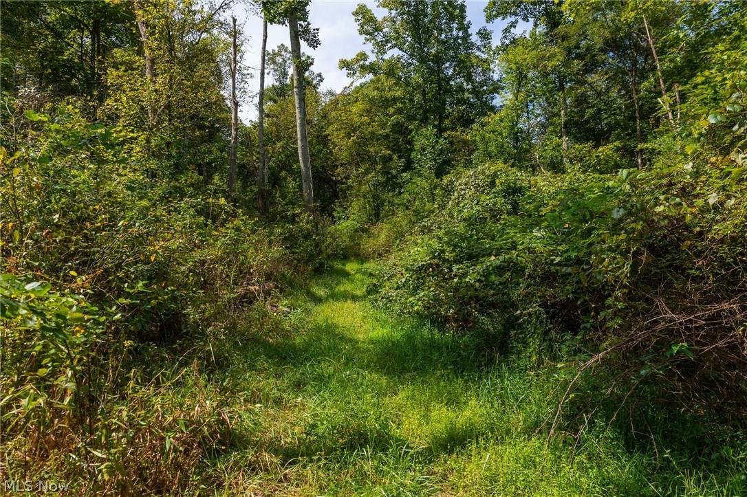 27339 Tabor Ridge Road Caldwell OH 43724